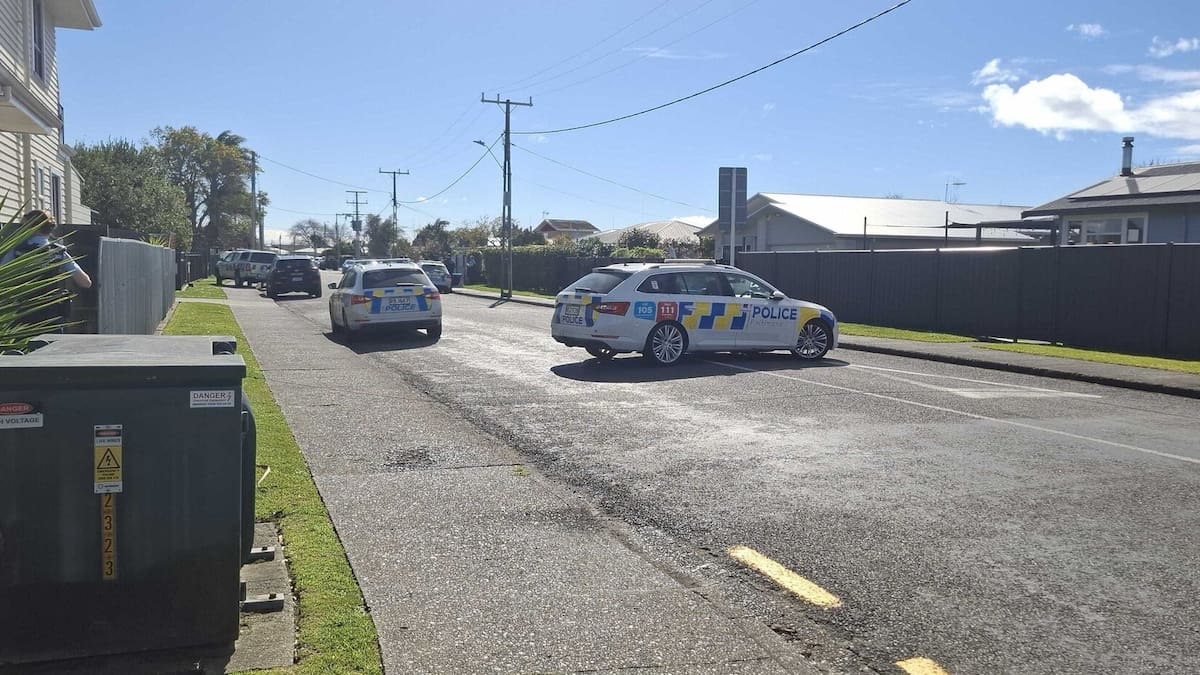 Taradale: Armed police close road after driver flees vehicle stop
