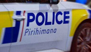 Police seek witnesses after woman killed in Ōtāne crash