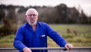 Auckland Council forcibly selling Pukekohe chicken farm over unpaid rates