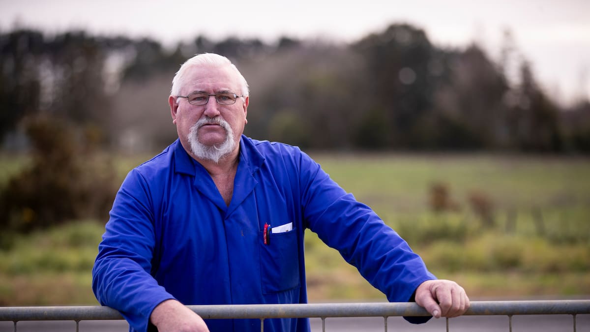 Auckland Council forcibly selling Pukekohe chicken farm over unpaid rates