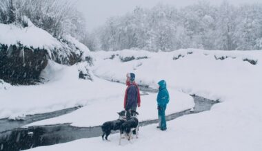 Mubi Streams 'The Meltdown' by Manuela Martelli After San Sebastian
