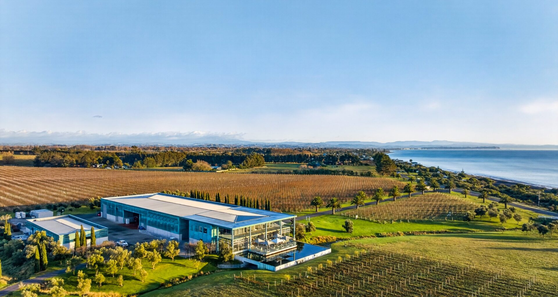 New Zealand's Elephant Hill winery to be sold