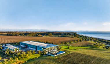 New Zealand's Elephant Hill winery to be sold