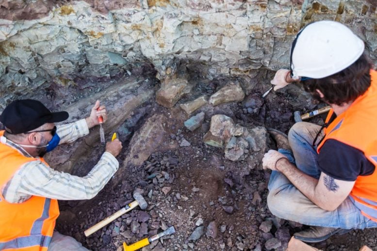 Elver Mayer and a Team Member Excavate Around the Fossils