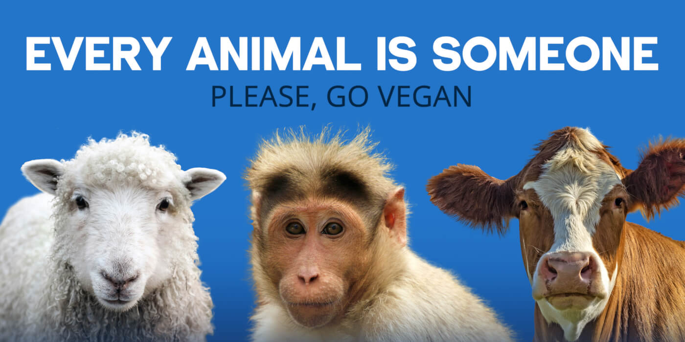 Monkeys Lose Limbs, Toes at Bankrupt Laboratory Supplier Inotiv, Feds Issue Citation: PETA Statement