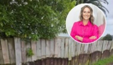 Auckland councillor Bo Burns criticised over photos of rundown East Auckland fences