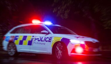 Whangārei stolen car tracked to Manurewa, three youths found hiding