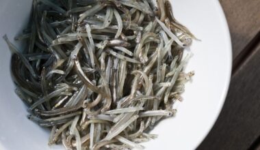 Ngāi Tūāhuriri places rāhui over customary whitebait season after ongoing abuse