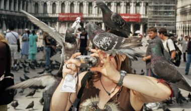 Martin Parr’s Small World exhibition to make New Zealand debut at Hawke’s Bay Fotofest