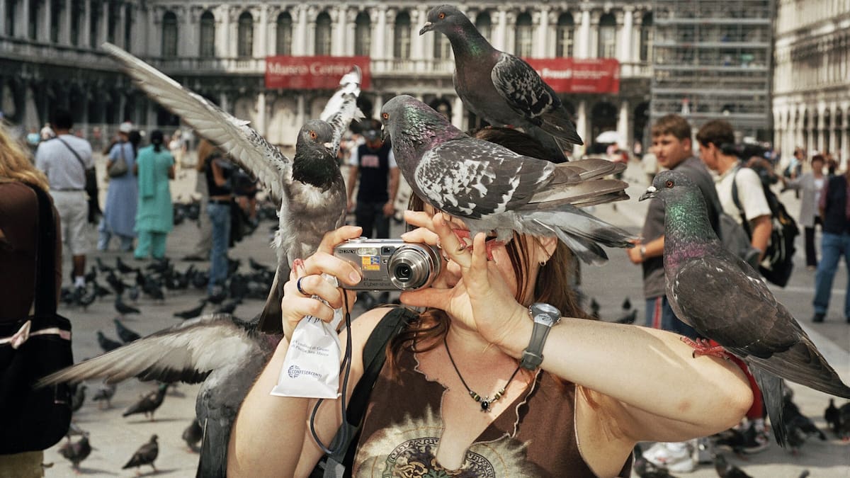 Martin Parr’s Small World exhibition to make New Zealand debut at Hawke’s Bay Fotofest