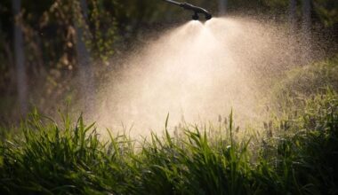 Farmer Spraying Herbicides Pesticides Insecticides