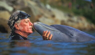 Leonardo DiCaprio's Appian Way Boards Documentary 'Freeing Flipper'