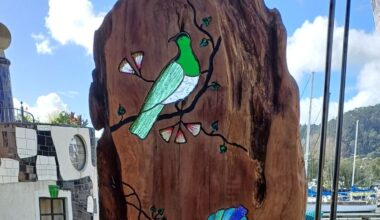 Stolen Tiori Toru sculpture: Whangārei art centre and gallery seek public help finding thief who escaped on bicycle