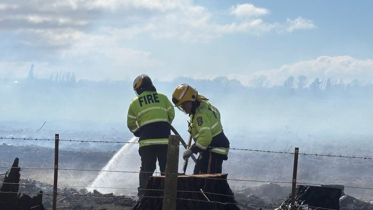 Multiple vegetation fires break out across Central Hawke’s Bay amid strong winds
