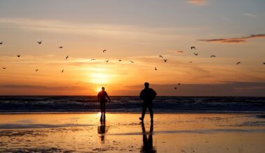 Daily Steps vs. Weekend Walking: Study Explores Longevity Benefits