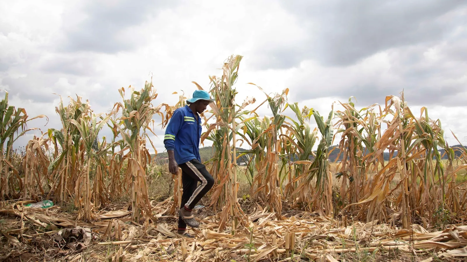 Super El Niño alone won’t trigger Africa rating downgrades, S&P says