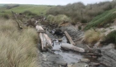 Chatham Islands ancient waka: Judge rules Crown must protect buried remains
