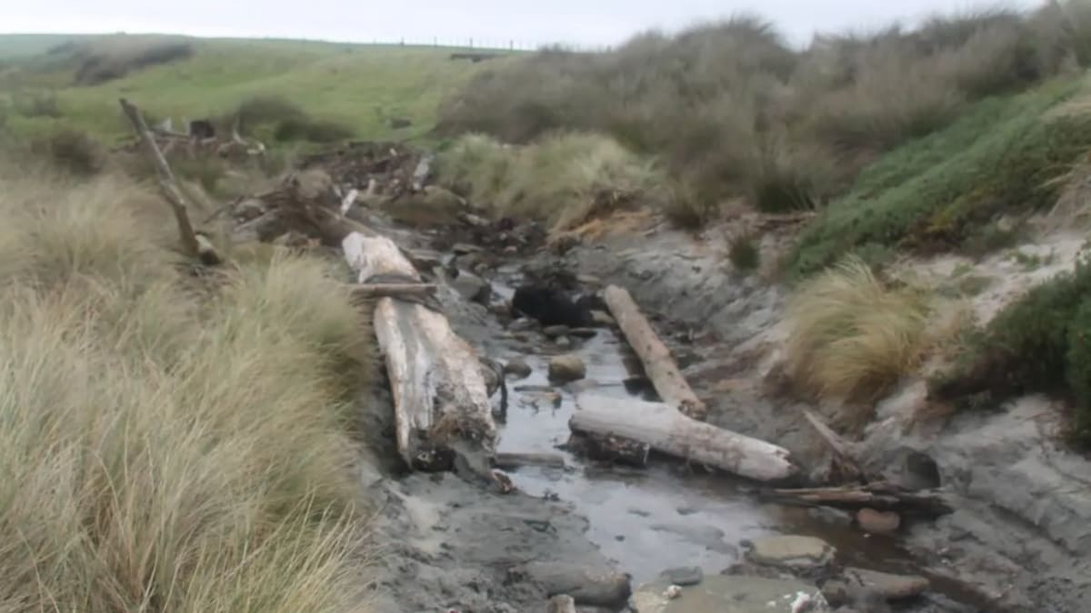 Chatham Islands ancient waka: Judge rules Crown must protect buried remains