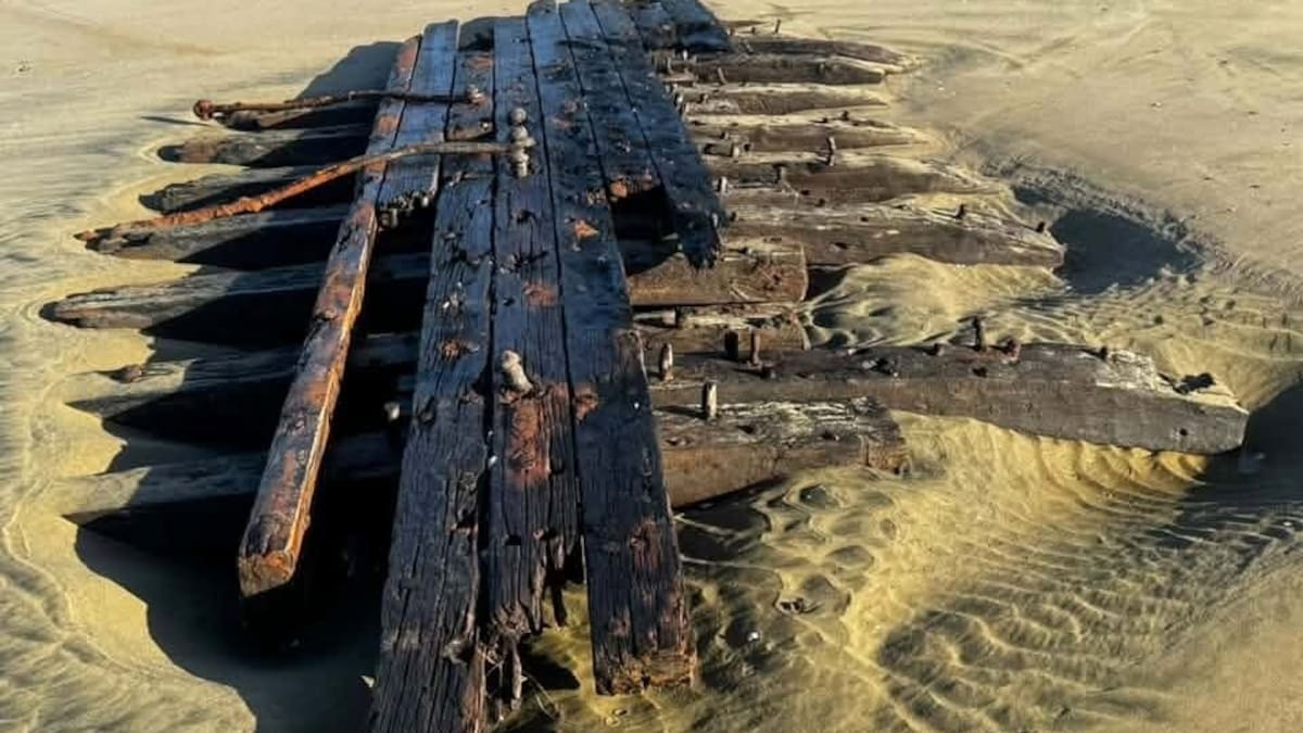 New Zealand’s oldest European shipwreck shows need for protection in Kaipara