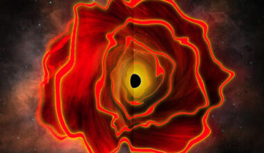 James Webb discovers mysterious ‘black hole star’ from early universe
