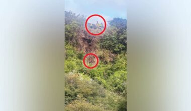 Firefighters use specialist gear to rescue Napier man who fell 25m while gardening