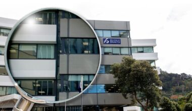 Health NZ official masqueraded as patient to feed information back to Ministry