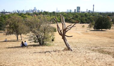 Millions of Europeans struggle to cope with another wave of extreme heat