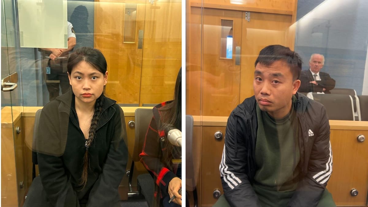 Couple grew 460 cannabis plants opposite court house, near police station