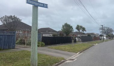Aranui dog attack: Police investigate death of child at Christchurch home