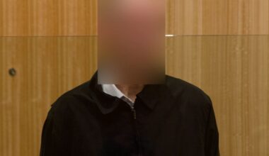 Second Auckland police officer charged with possessing objectionable publications pleads guilty