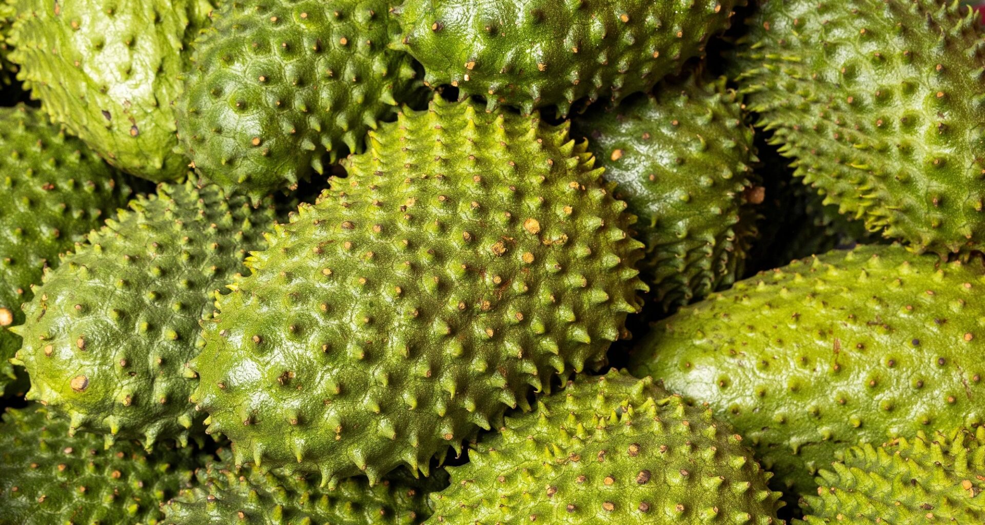 Soursop: Nutrition, Bioactive Compounds, and Human Health