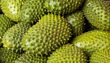 Soursop: Nutrition, Bioactive Compounds, and Human Health