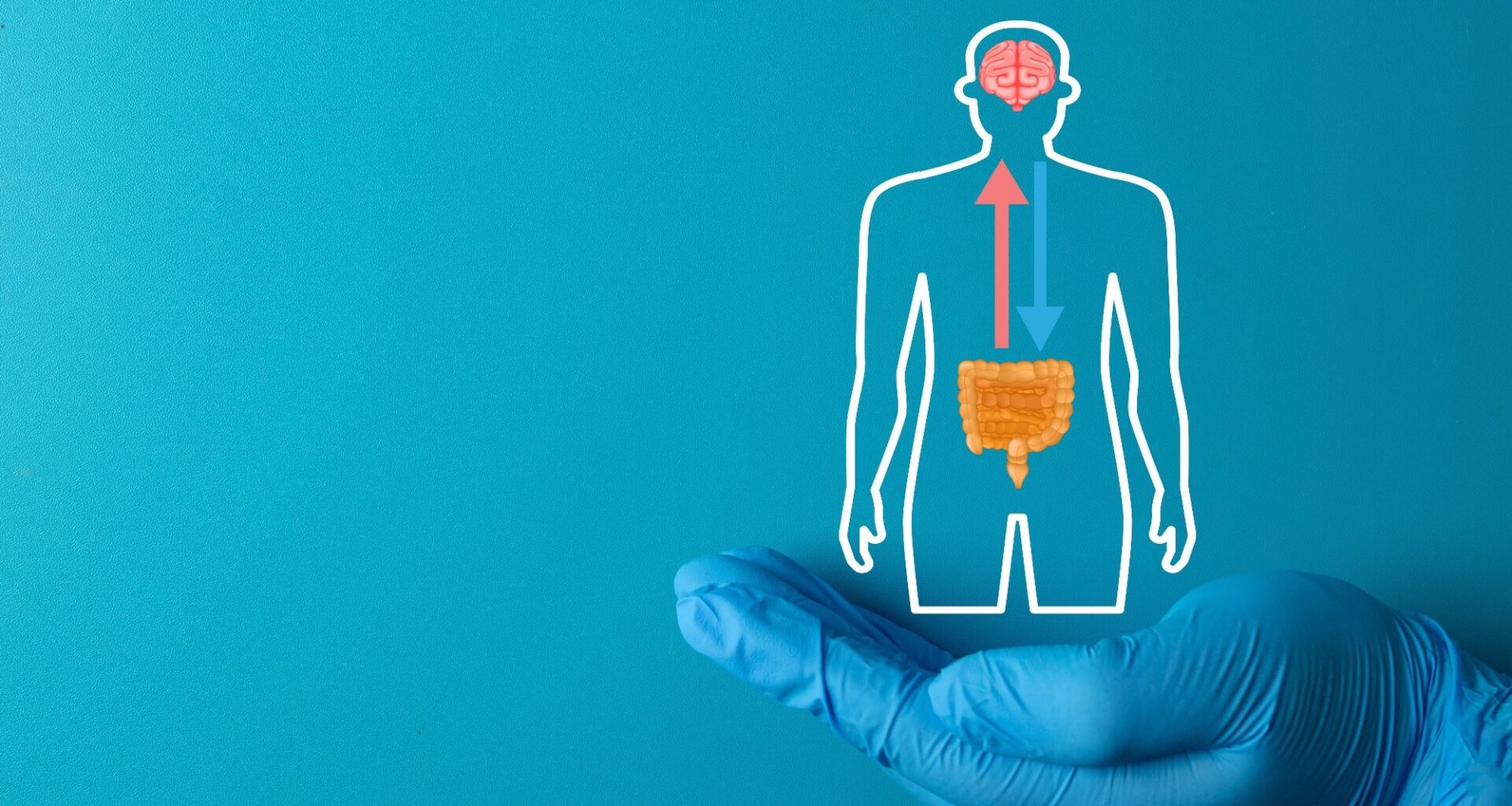 Review: Gut Microbiome Changes in Preclinical Alzheimer’s Disease. Image Credit: Toey Andante / Shutterstock