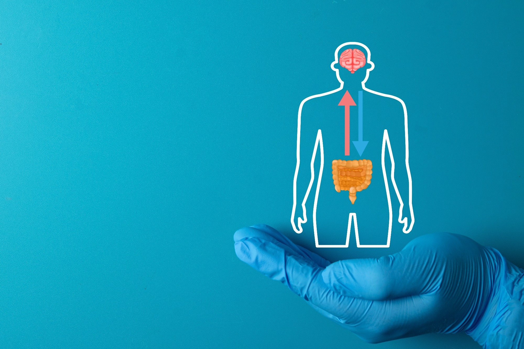 Review: Gut Microbiome Changes in Preclinical Alzheimer’s Disease. Image Credit: Toey Andante / Shutterstock