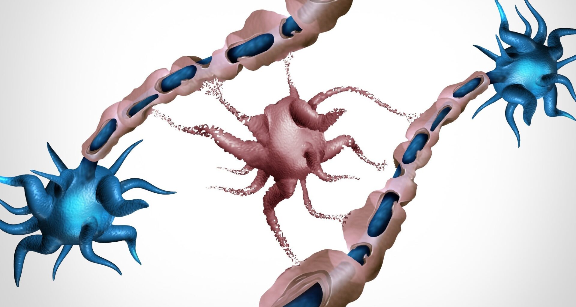 Study: Oligodendrocyte dysfunction in human age-related cognitive decline. Image Credit: Lightspring / Shutterstock