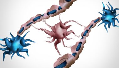Study: Oligodendrocyte dysfunction in human age-related cognitive decline. Image Credit: Lightspring / Shutterstock