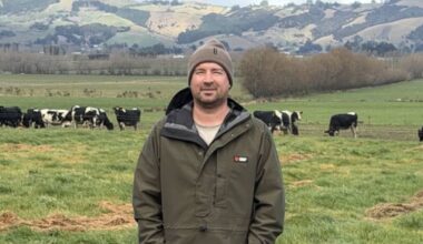 The Dunedin dairy farmer behind CheckMyTrolley, latest grocery price comparison app