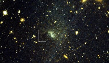 A Hubble Space Telescope view of the ultra-diffuse galaxy UGC9050-Dw1 and a stream of stars from an associated globular cluster. The stream is shaped by the influence of dark matter. Credit: STScI, Holm, et al.