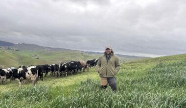 Virtual fencing collars cut farm work and improve safety at Hawke’s Bay’s Glenalvon