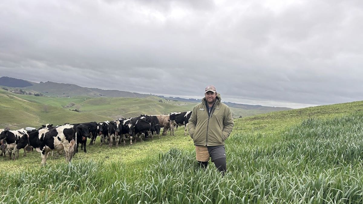 Virtual fencing collars cut farm work and improve safety at Hawke’s Bay’s Glenalvon