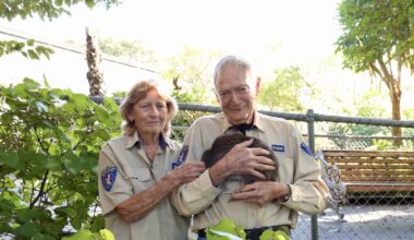 Whangārei bird centre founders step down after more than 30 years of work