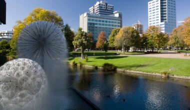 New Zealand’s next growth sectors won’t emerge by accident – Ali Adams