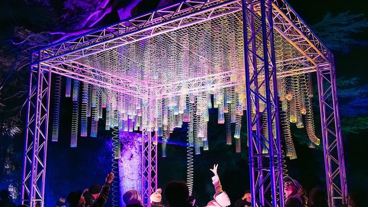 Hastings council coffers boosted by massive crowds for Illuminate light show