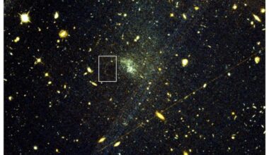Hubble Space Telescope image showing the globular cluster stellar stream. Hubble Space Telescope and Holm et al. (2026)