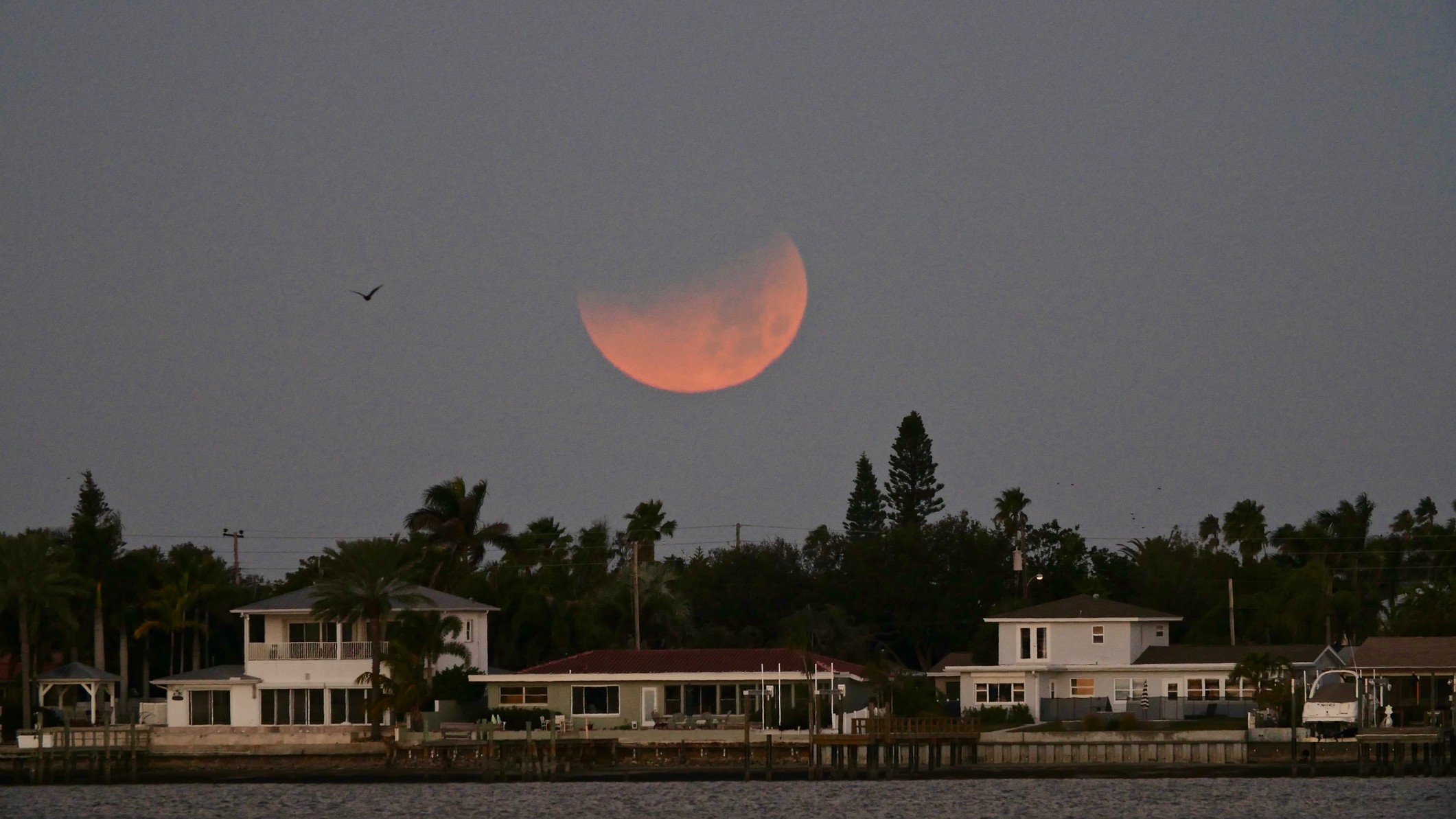 a large partly illuminated rusty red hue moon close to the horizon.