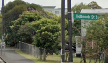 Man dies after Auckland stabbing, homicide probe launched