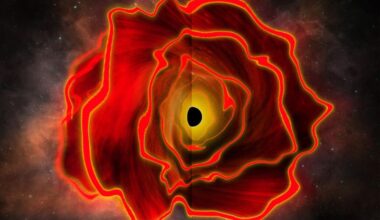 Black circle at center with orange and red jagged concentric lines around it, resembling a rose.