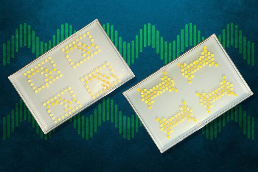 Two digital displays with yellow dots on a dark background with green sound wave patterns.