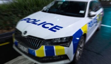 Carjacking: Man arrested on State Highway 5, Hawke’s Bay, after fleeing police near Taupō