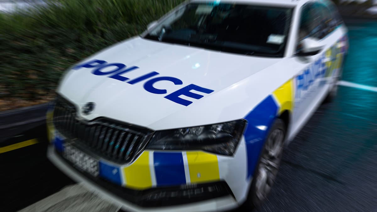 Carjacking: Man arrested on State Highway 5, Hawke’s Bay, after fleeing police near Taupō